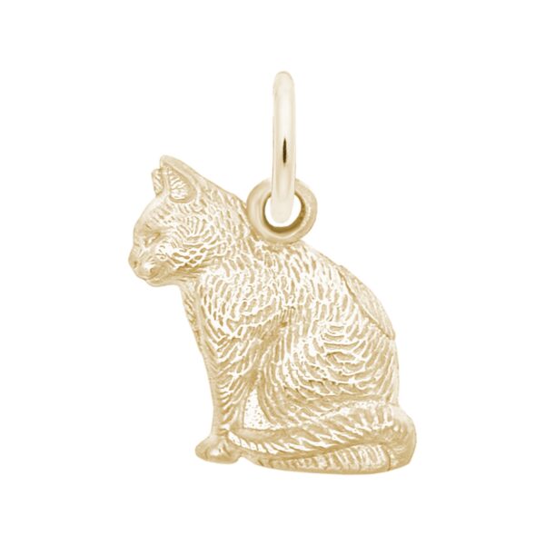 Cat Charm