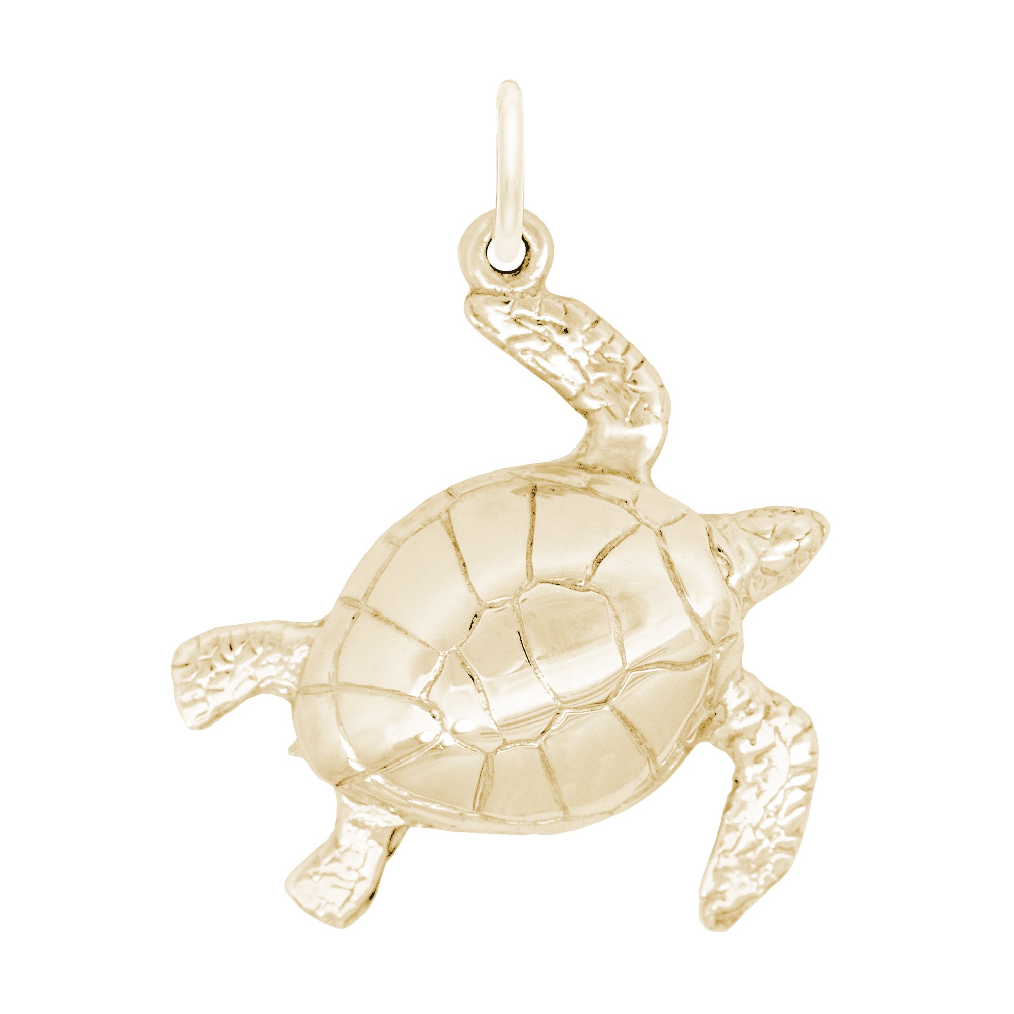 Large Turtle - Image 1