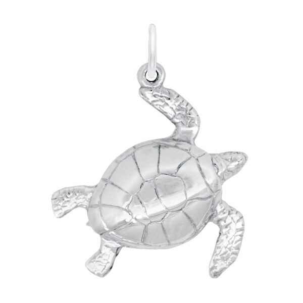 Large Turtle