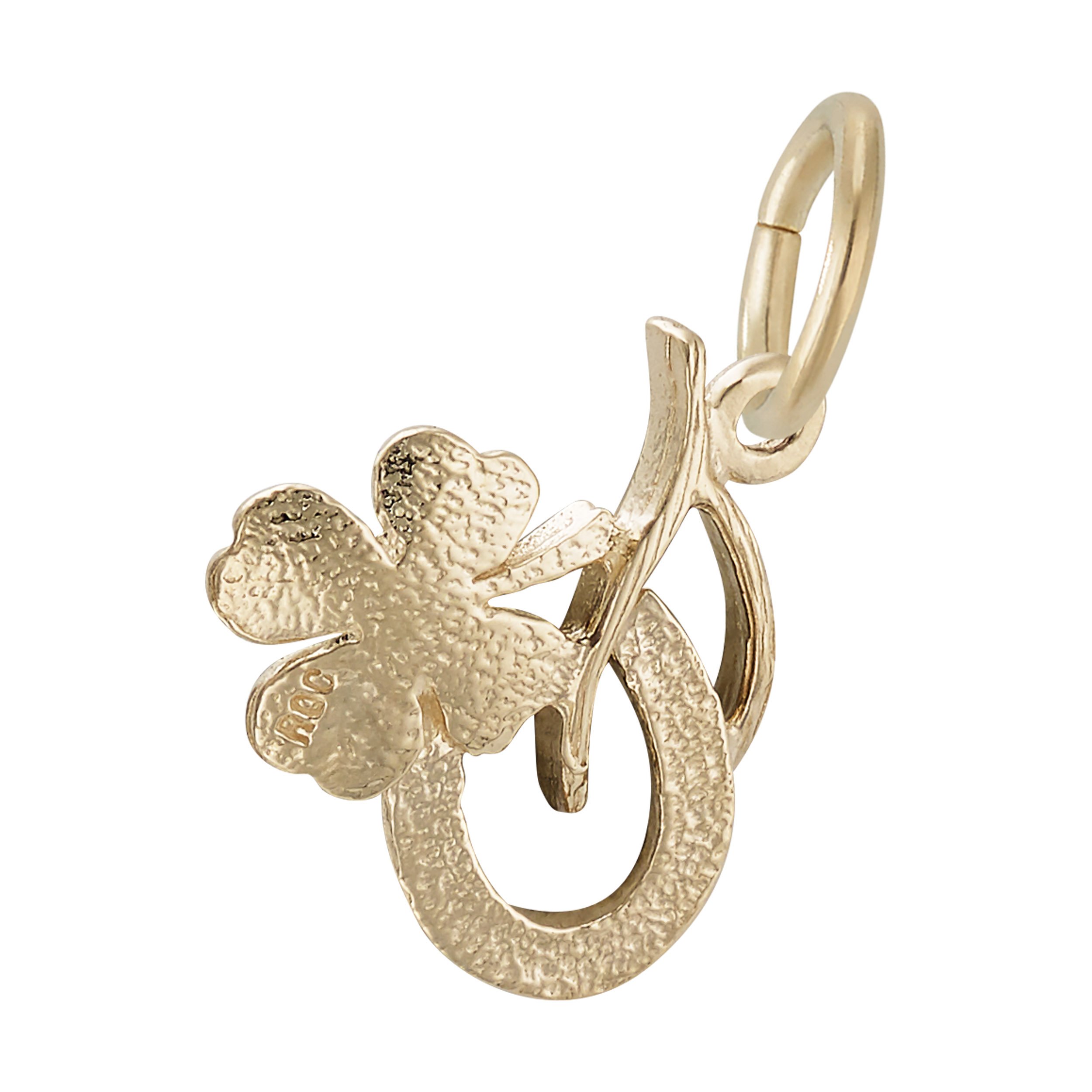 Symbols of Luck Charm - Image 3