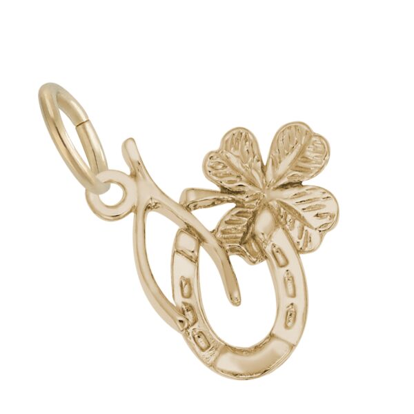 Symbols of Luck Charm