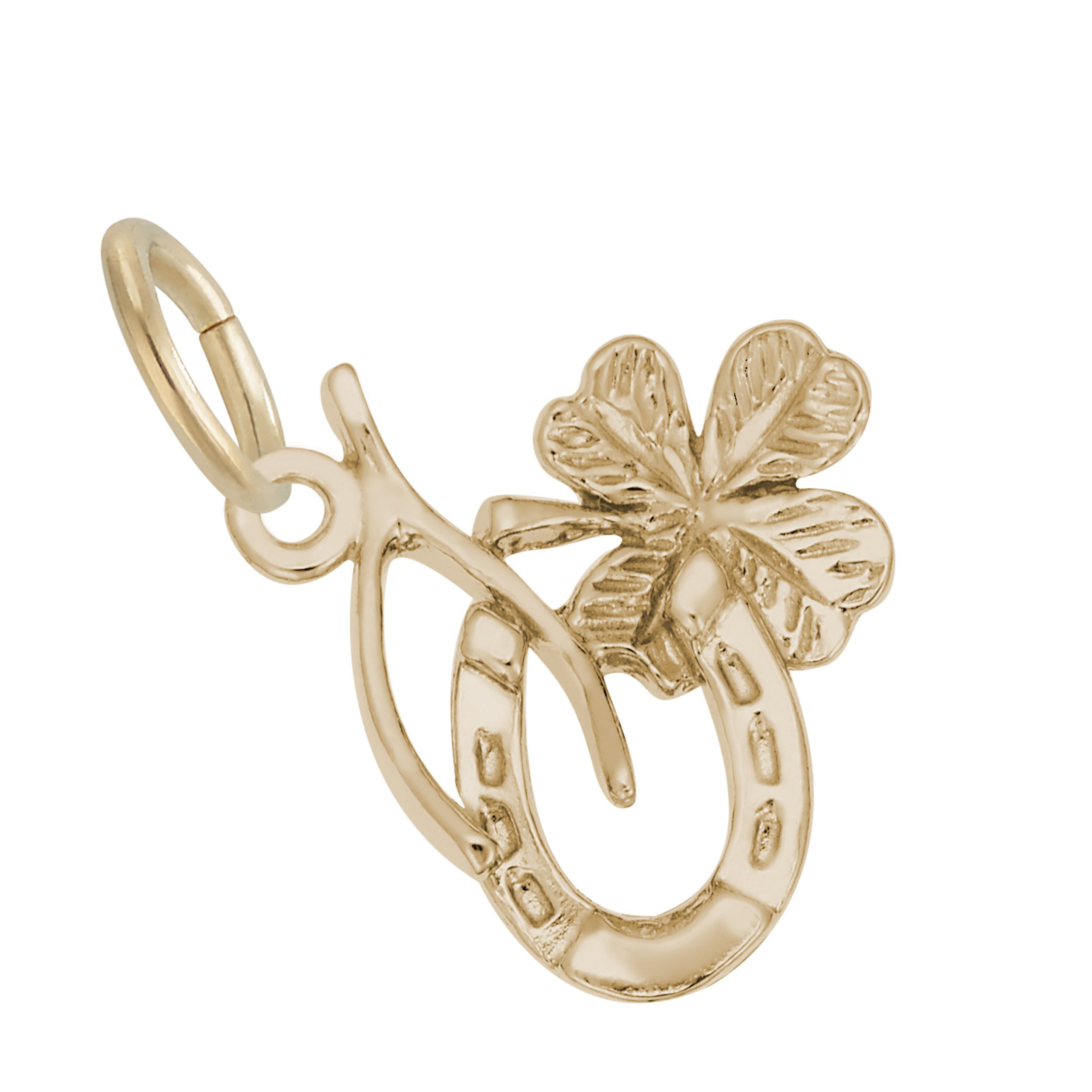 Symbols of Luck Charm - Image 1