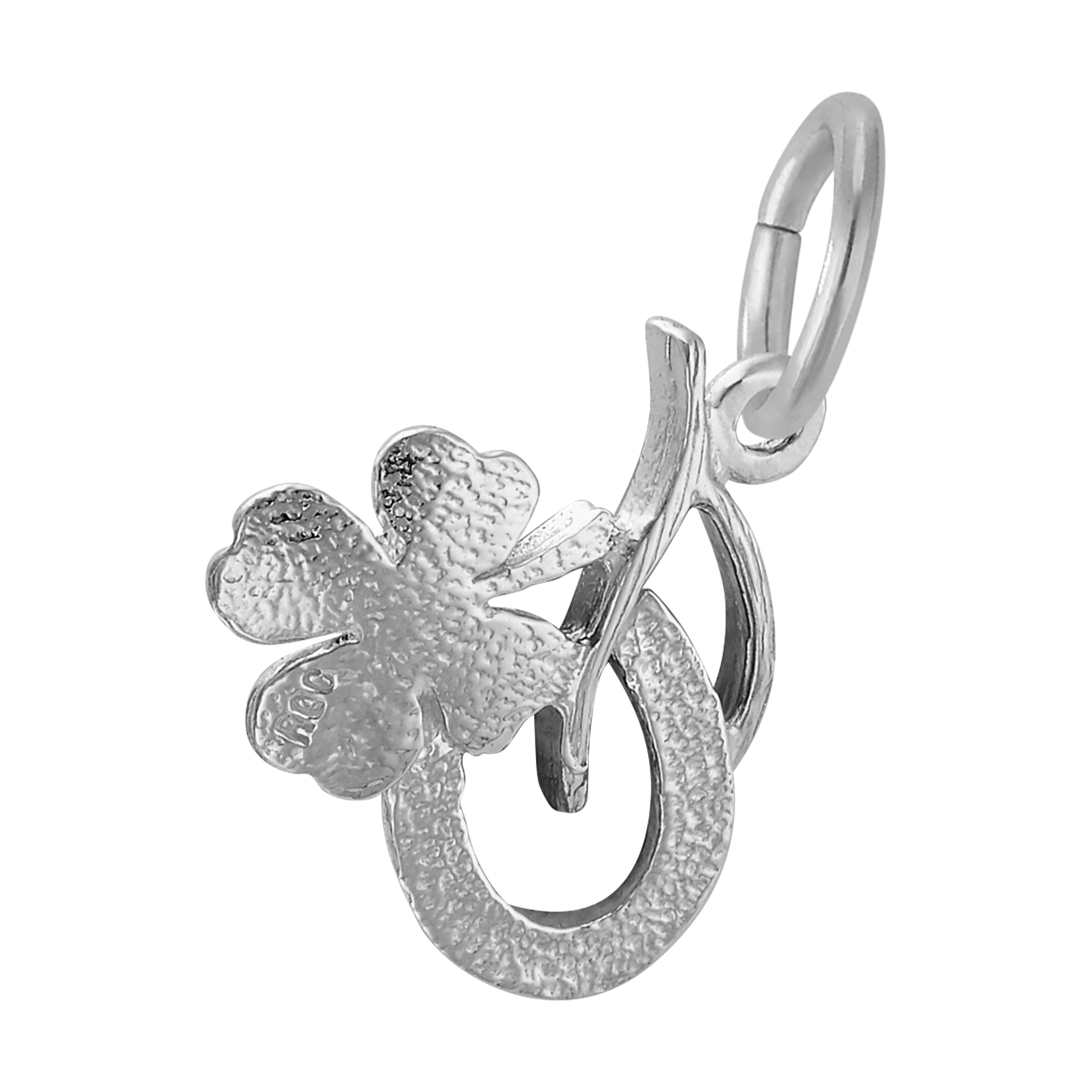Symbols of Luck Charm - Image 2
