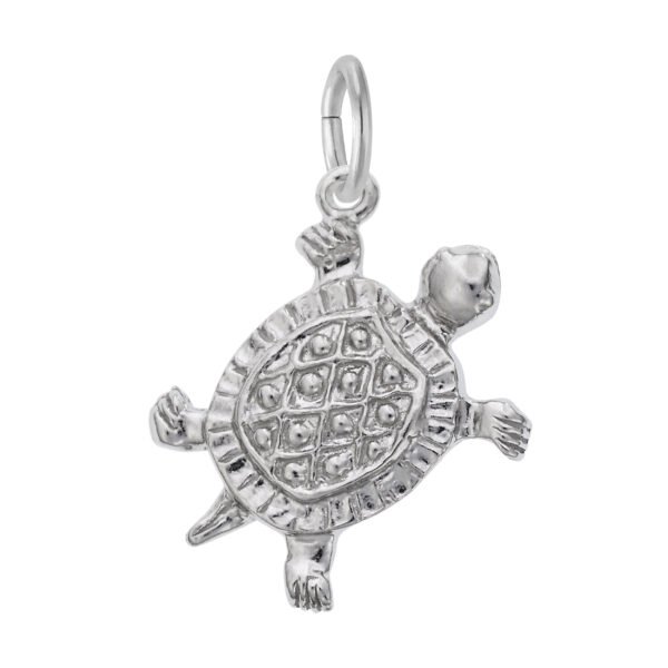Turtle Charm