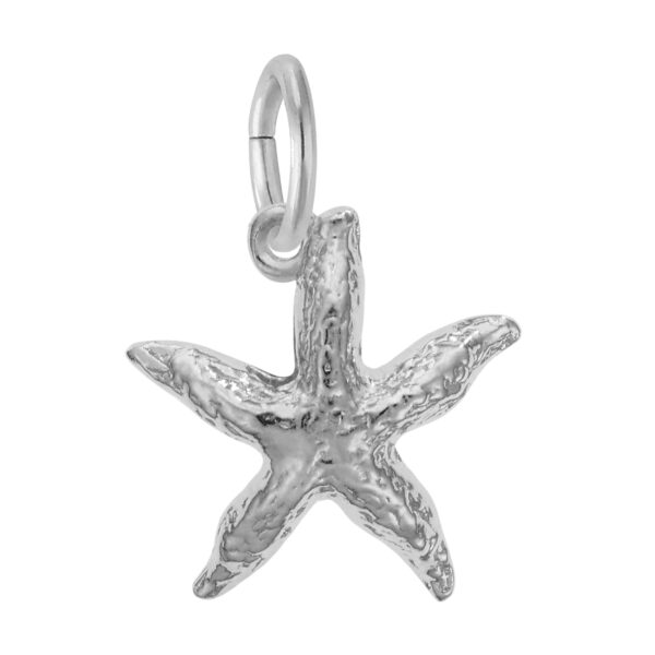 Starfish Charm