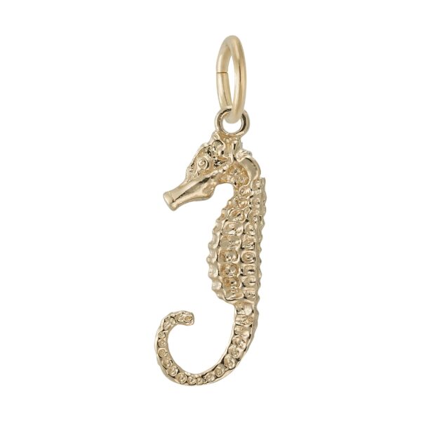 Seahorse Charm