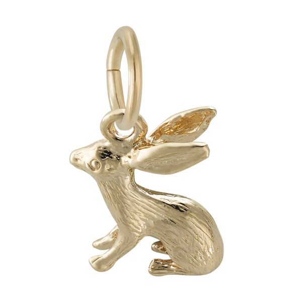 Bunny Accent Charm