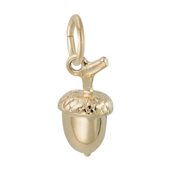 Acorn Accent Charm