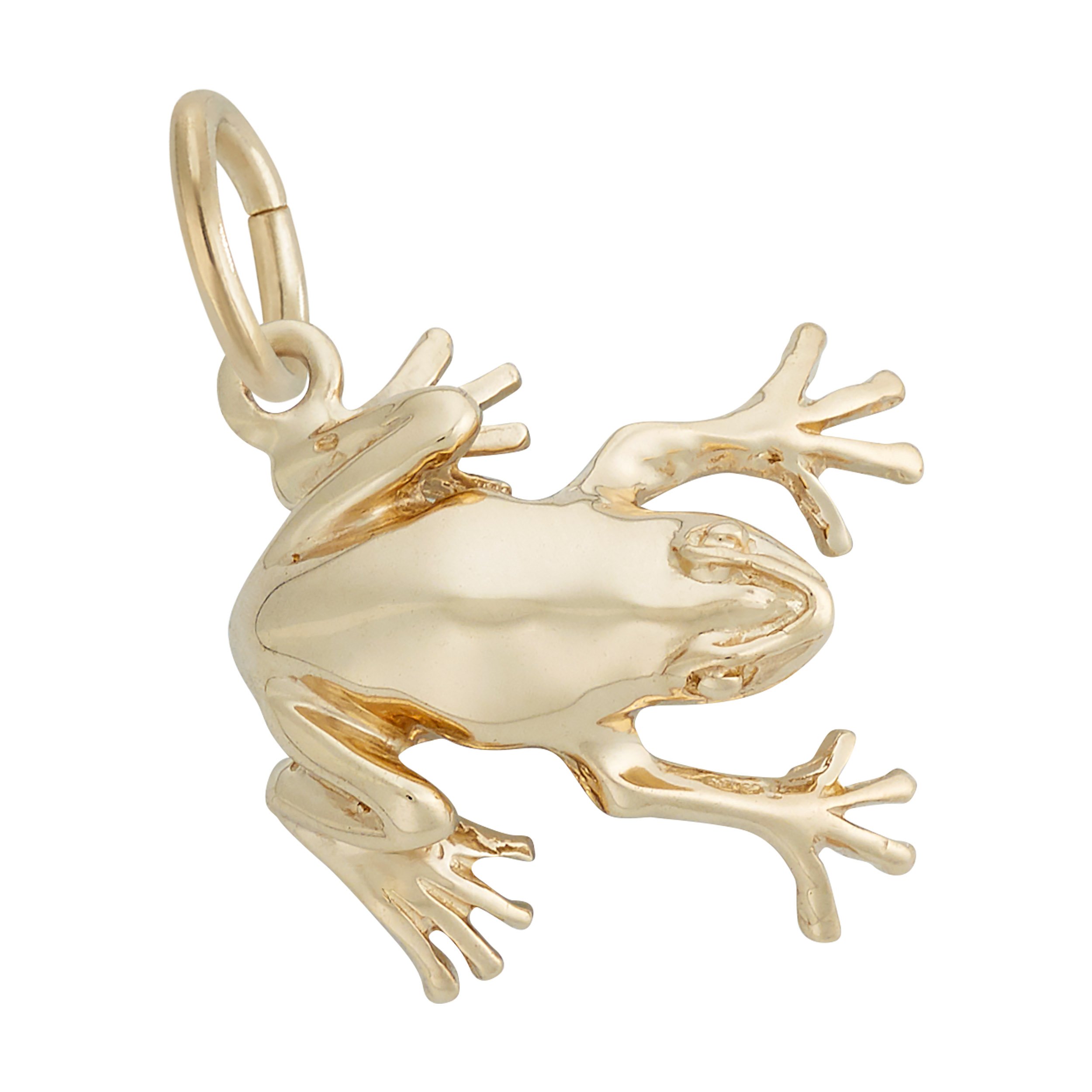 Tree Frog Charm - Image 1