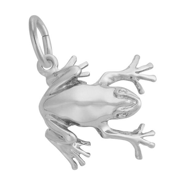 Tree Frog Charm