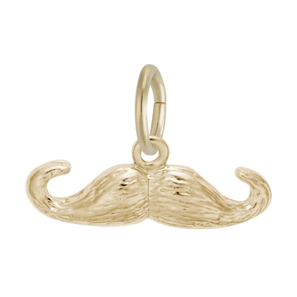 Moustache Charm