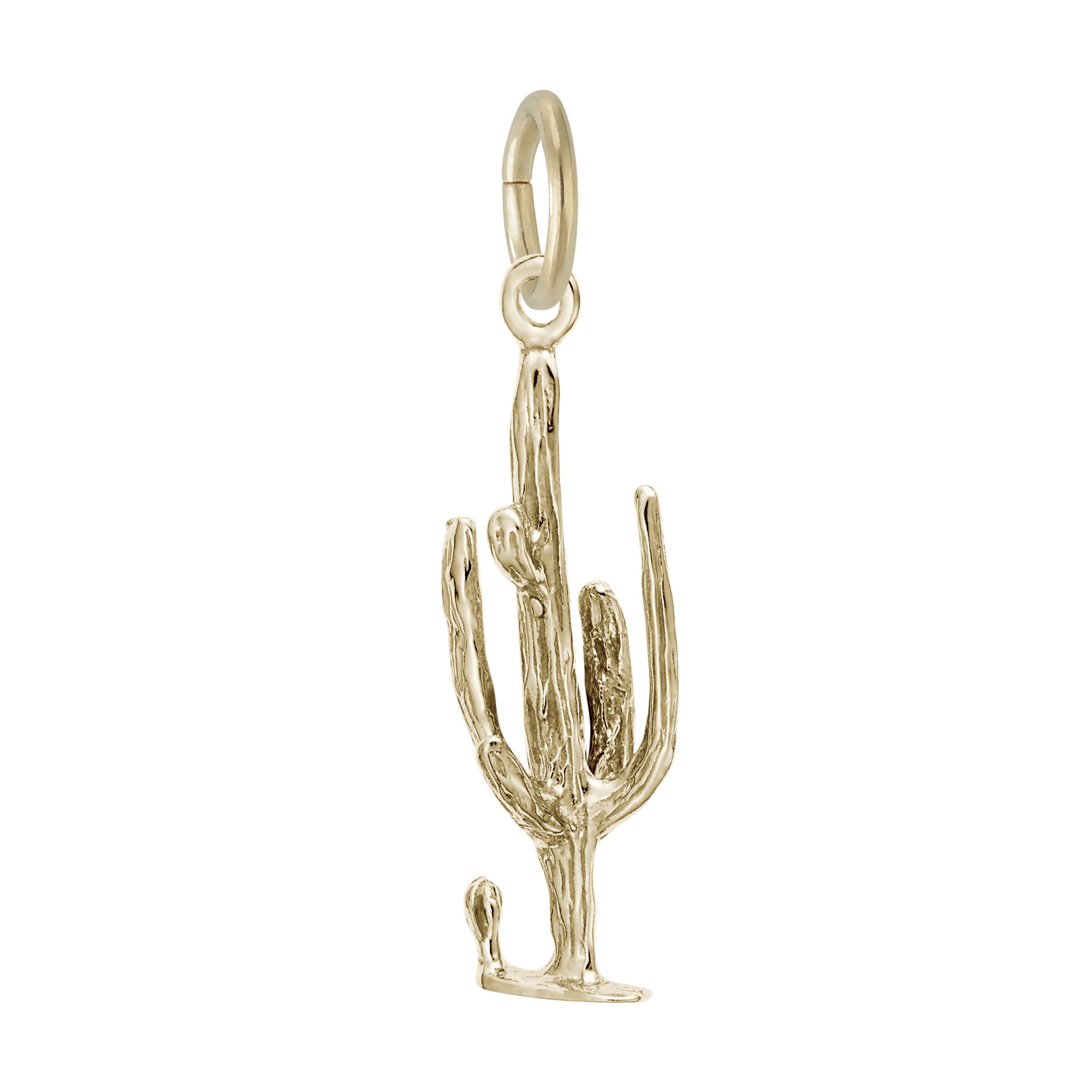 Cactus Charm - Image 1