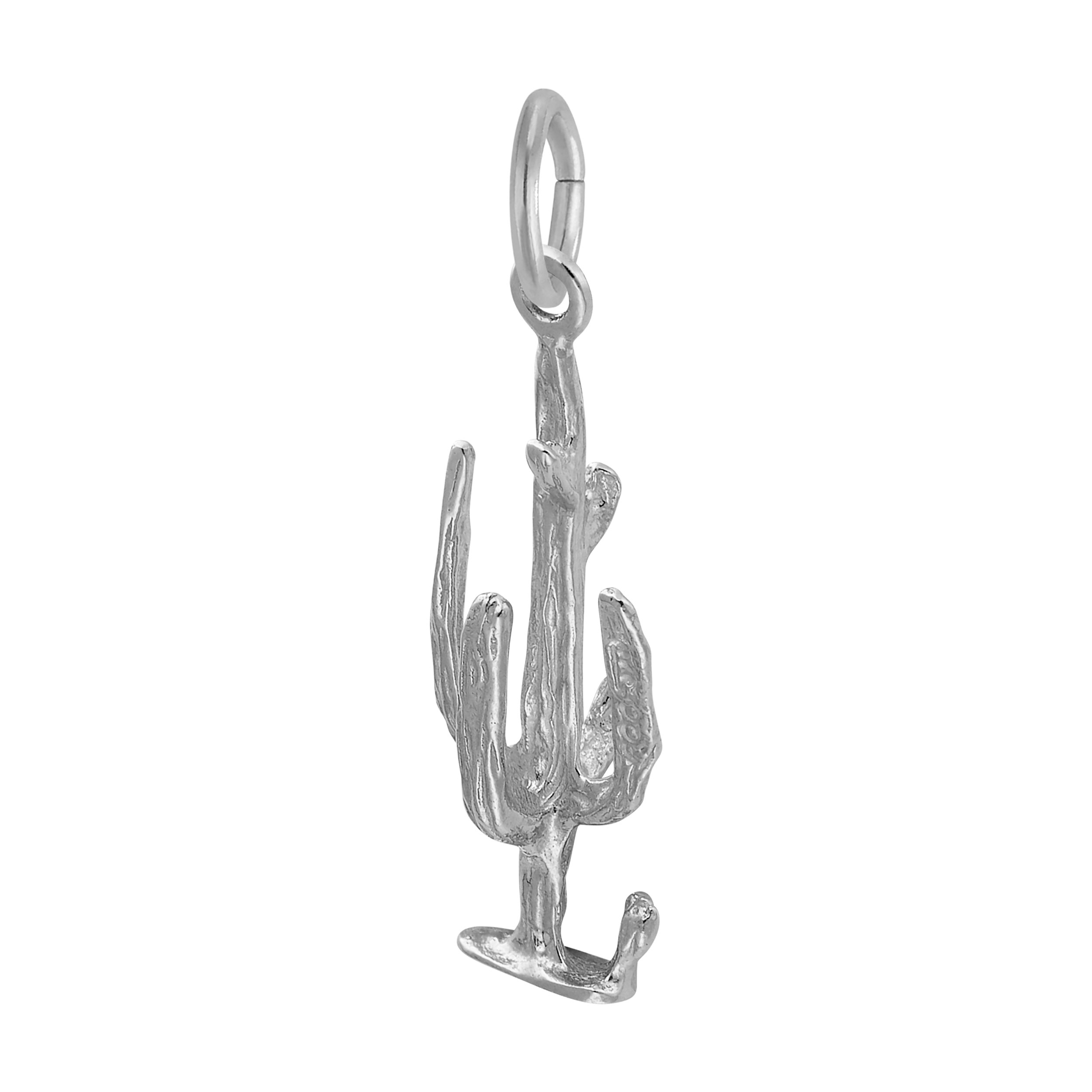 Cactus Charm - Image 2