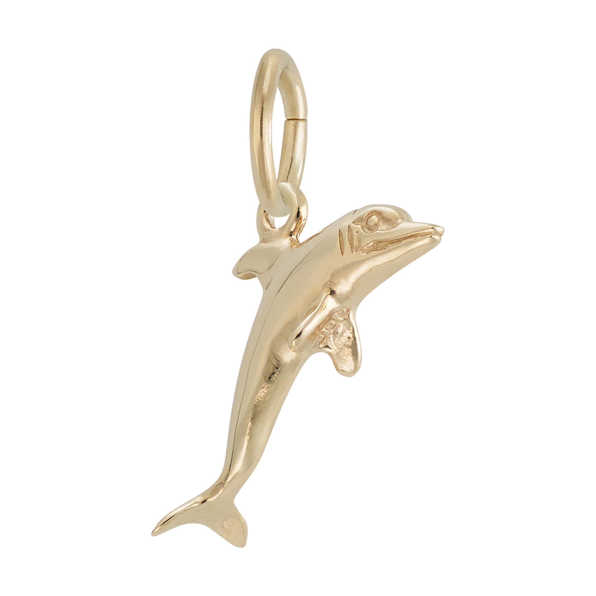 Dolphin Charm - Image 5