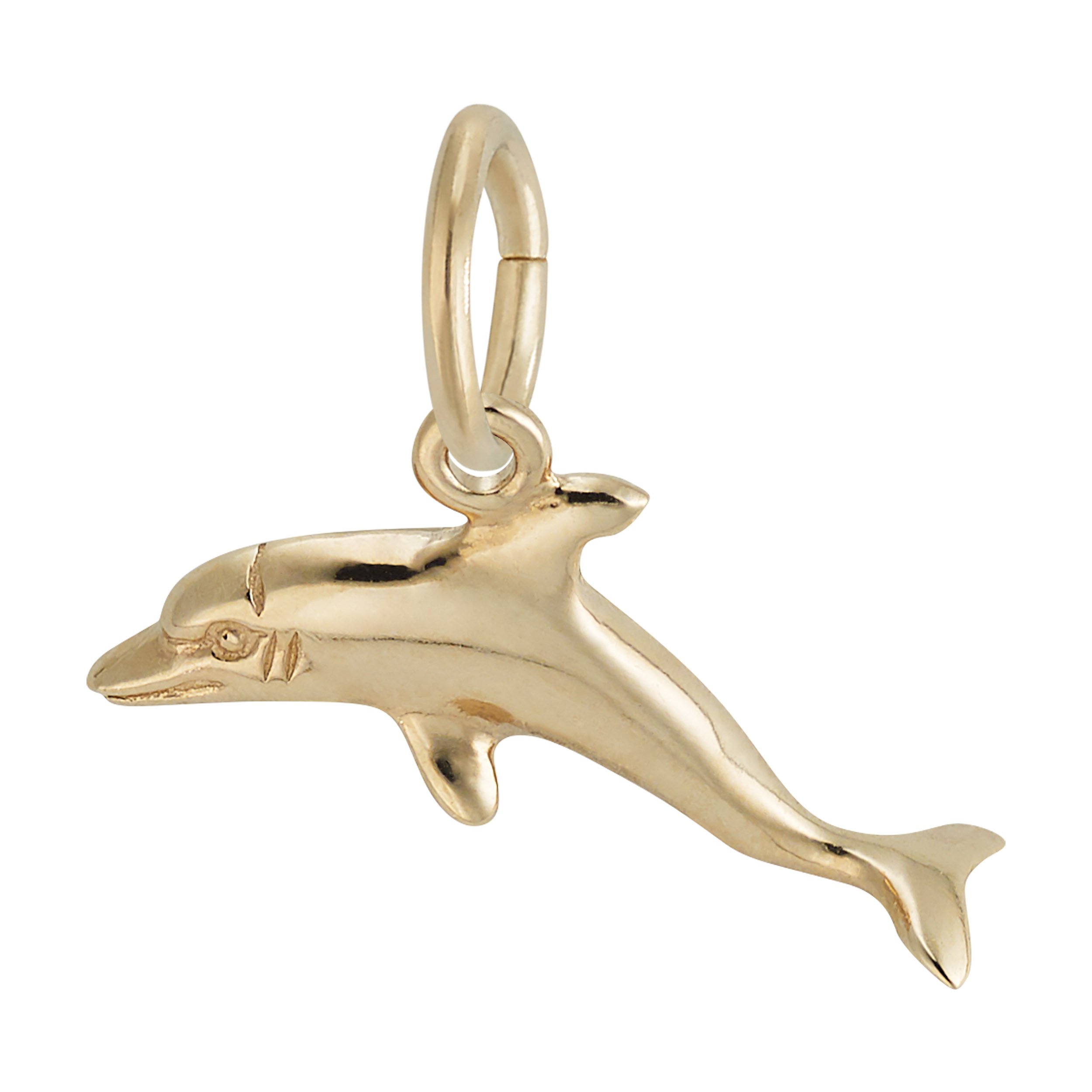 Dolphin Charm - Image 3