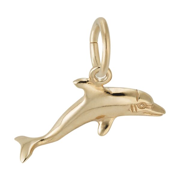 Dolphin Charm