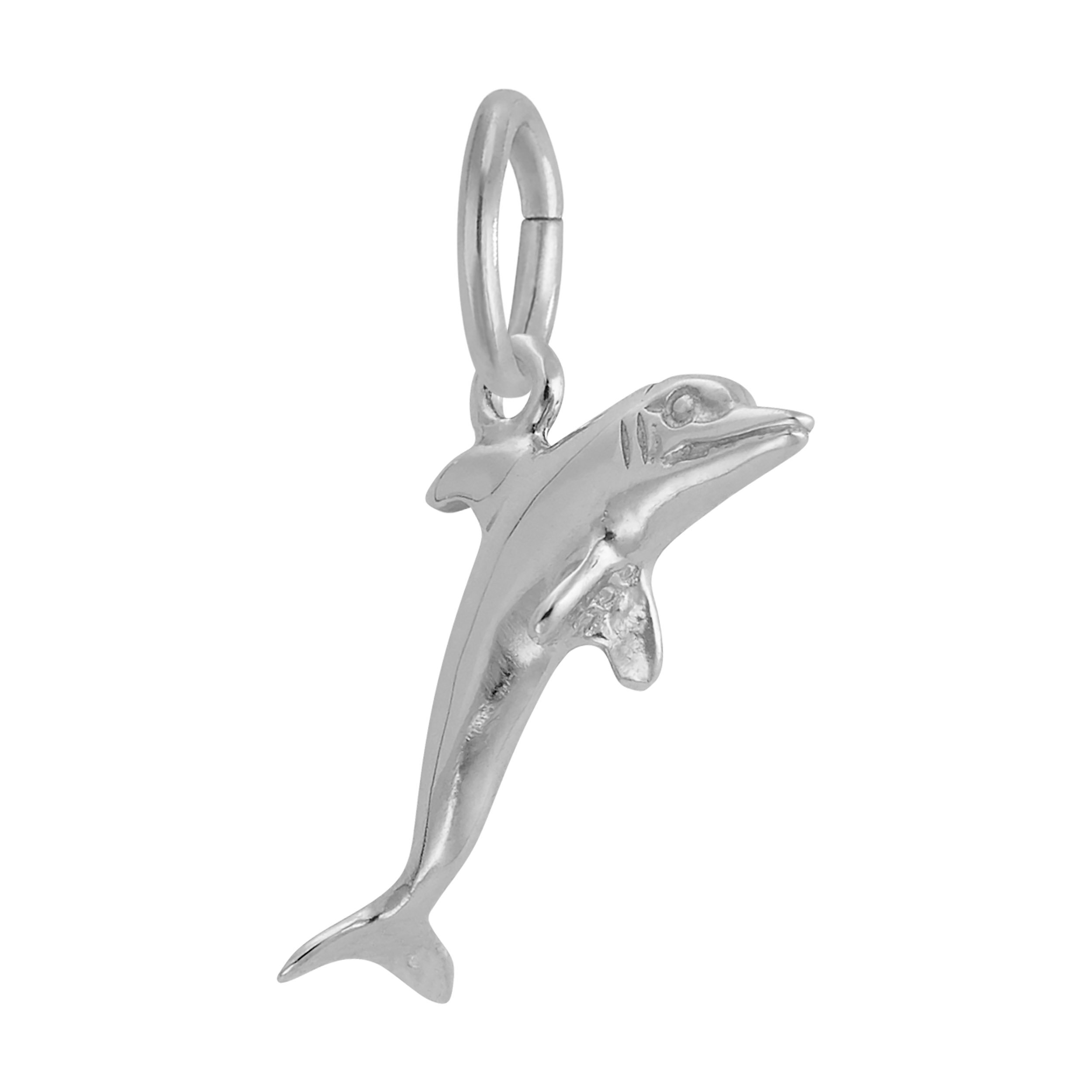 Dolphin Charm - Image 4