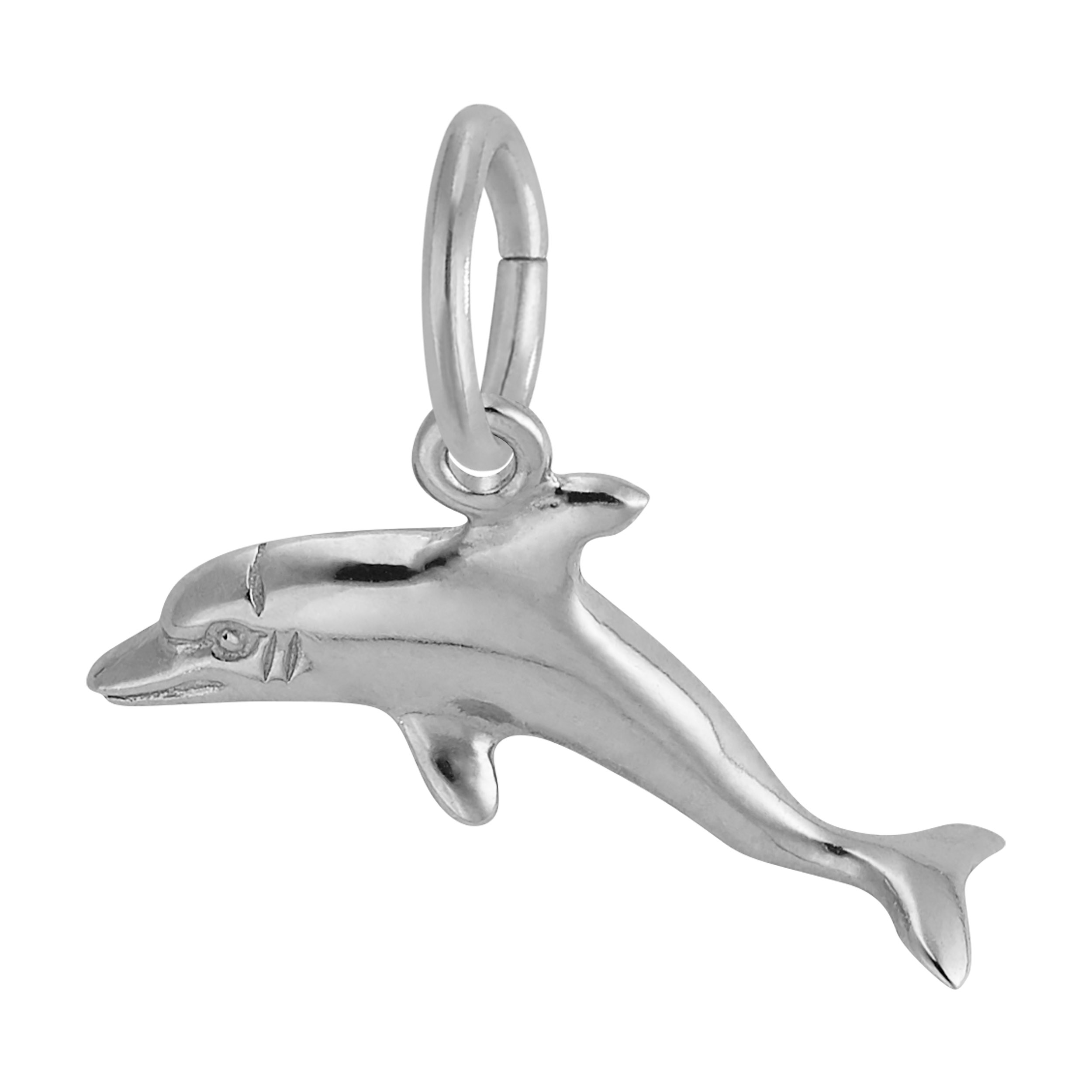 Dolphin Charm - Image 2