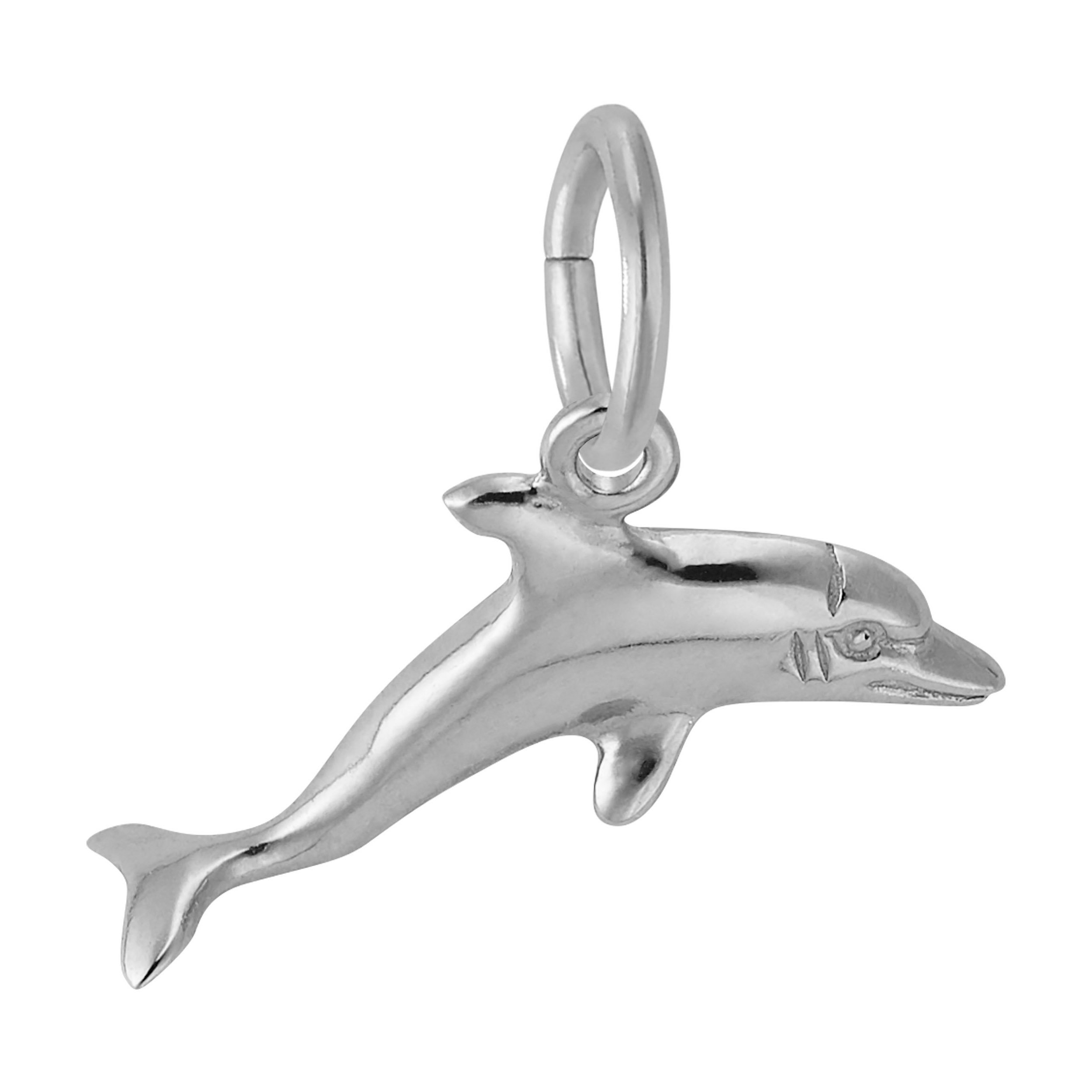 Dolphin Charm
