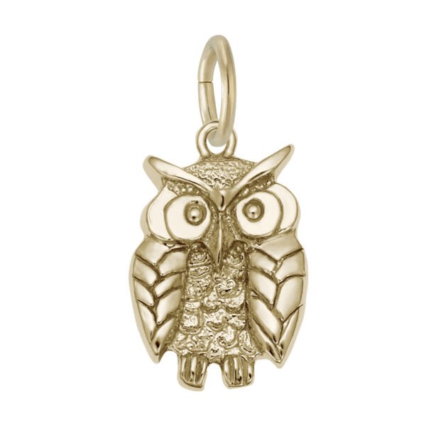 Wise Owl Charm