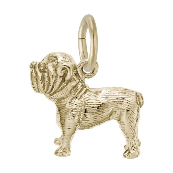 Bulldog Charm