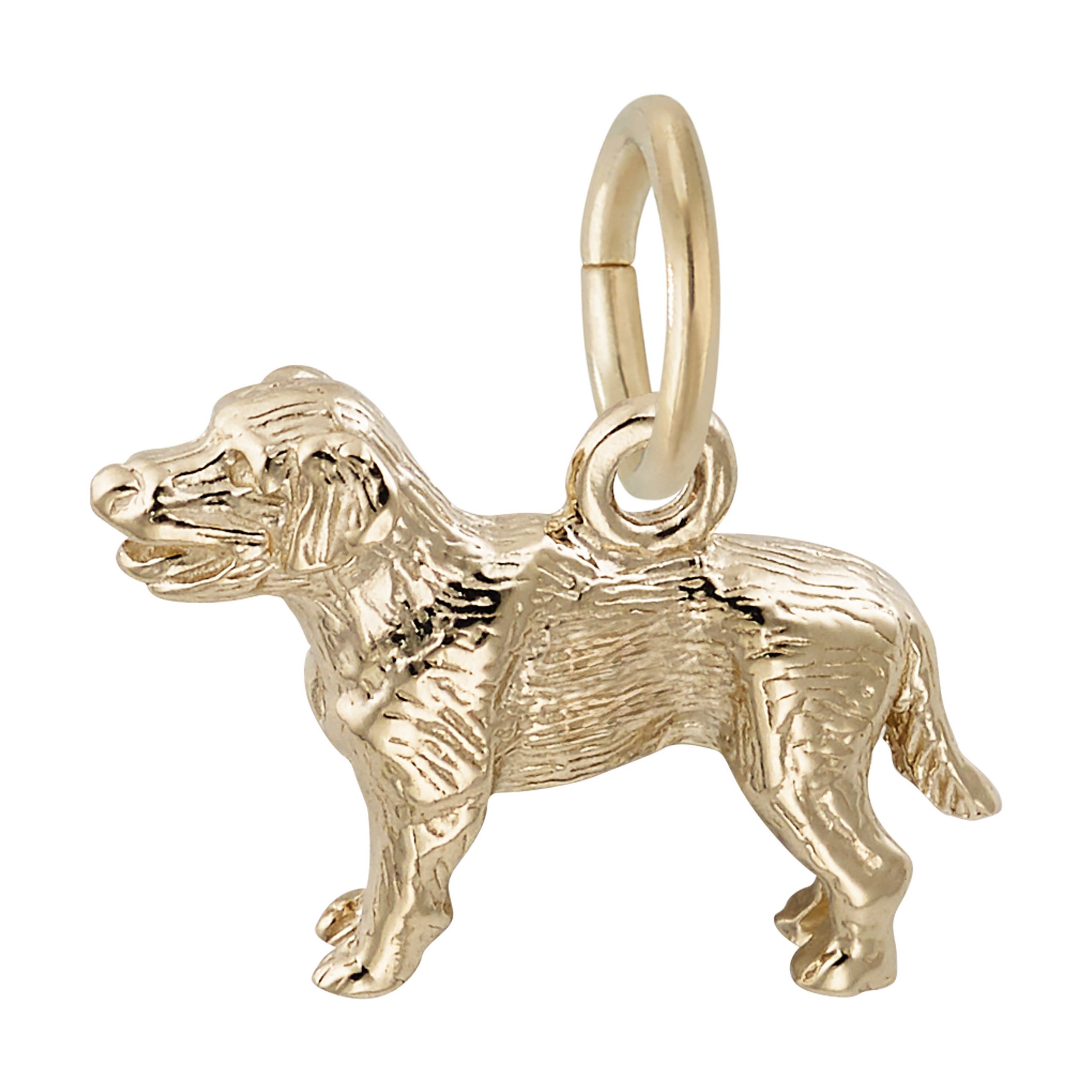 Small Labrador Retriever Dog Charm - Image 1