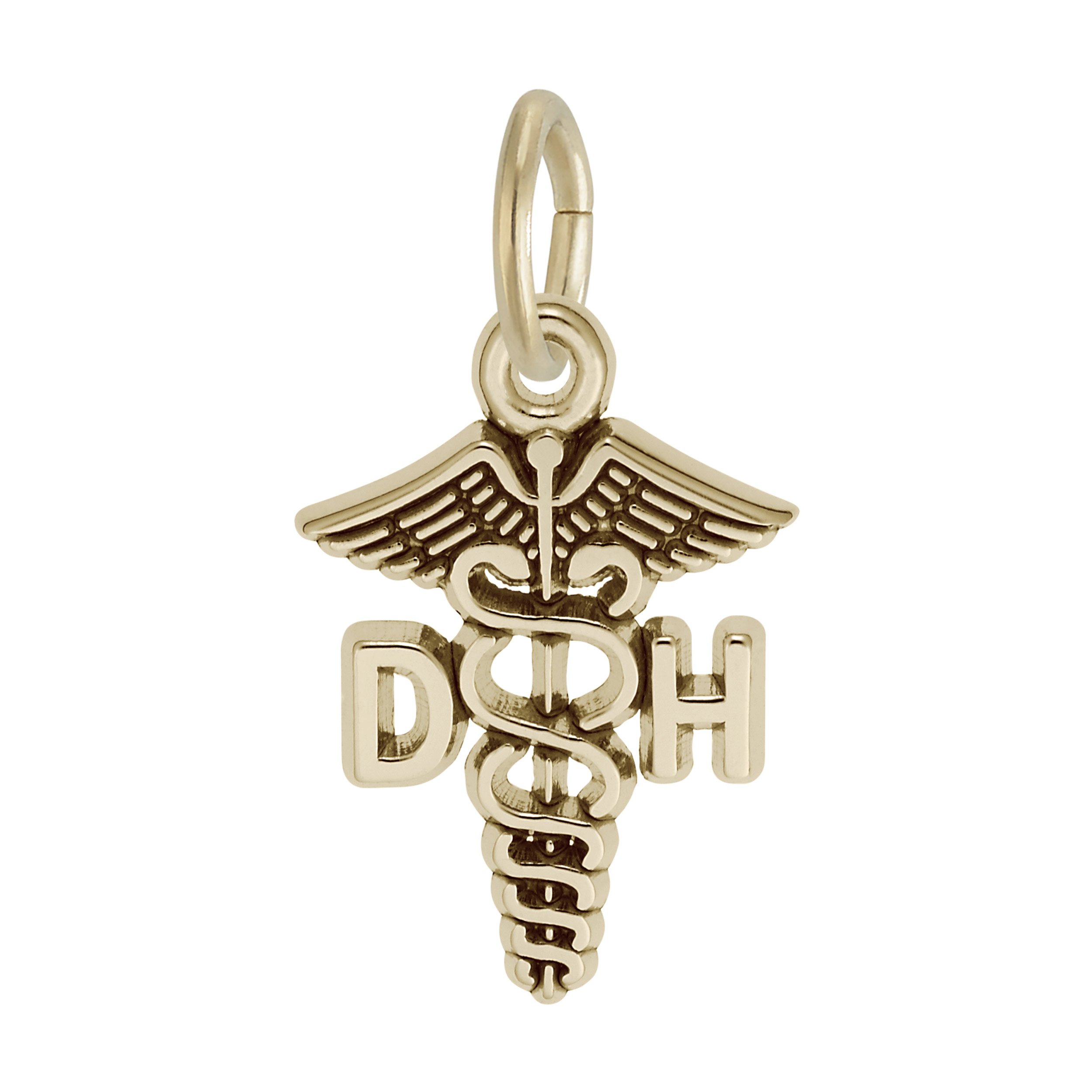 Dental Hygienist Caduceus Charm - Image 1