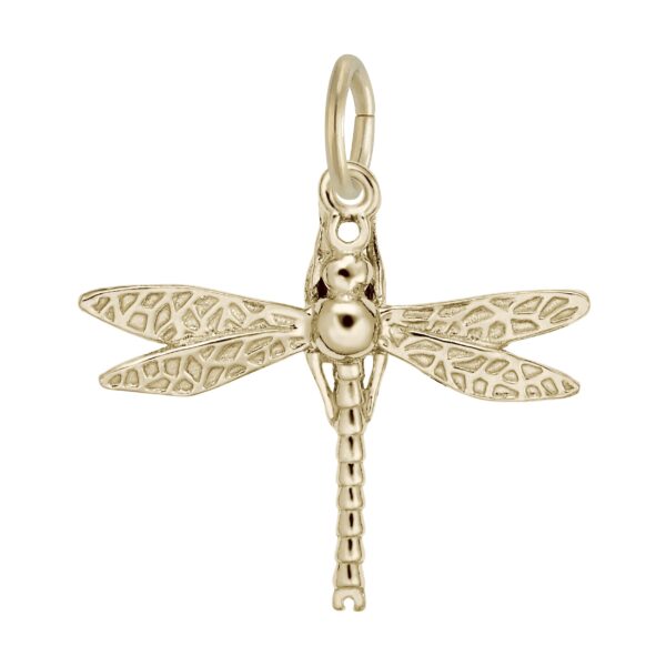 Dragonfly Charm