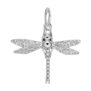 Dragonfly Charm