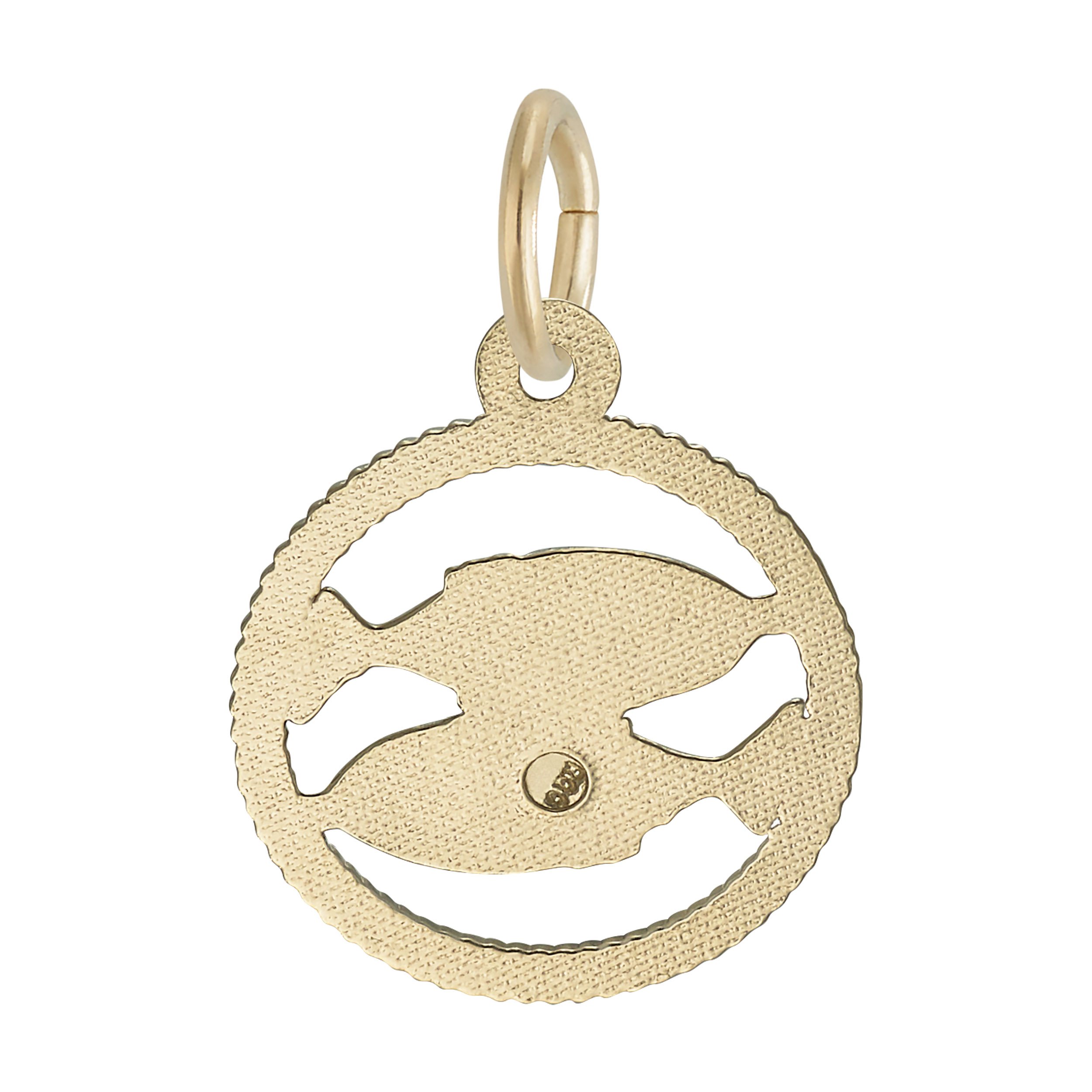 Pisces Fish Charm - Image 3