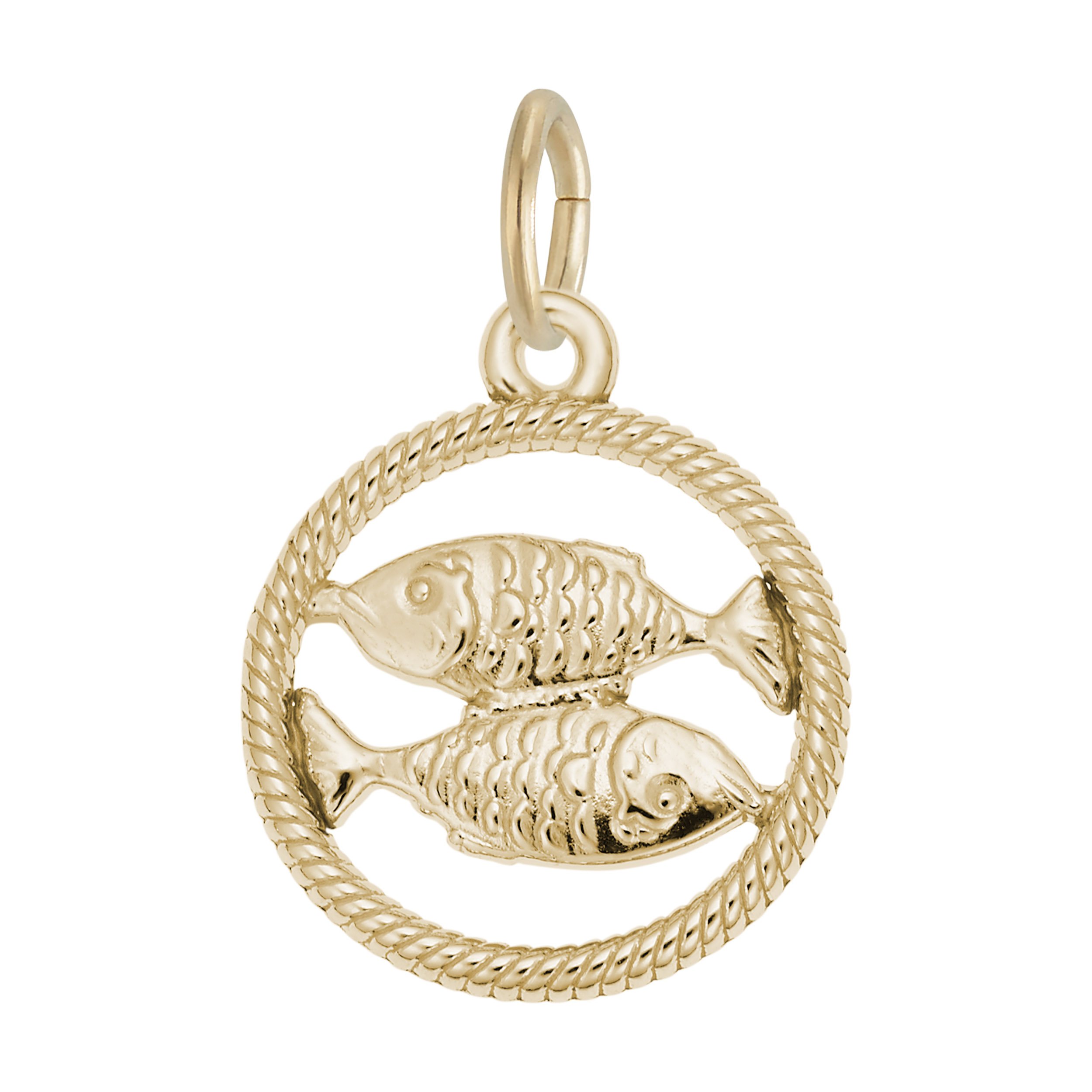 Pisces Fish Charm - Image 1