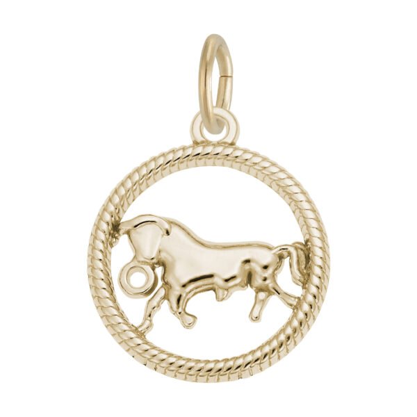 Taurus Bull Charm