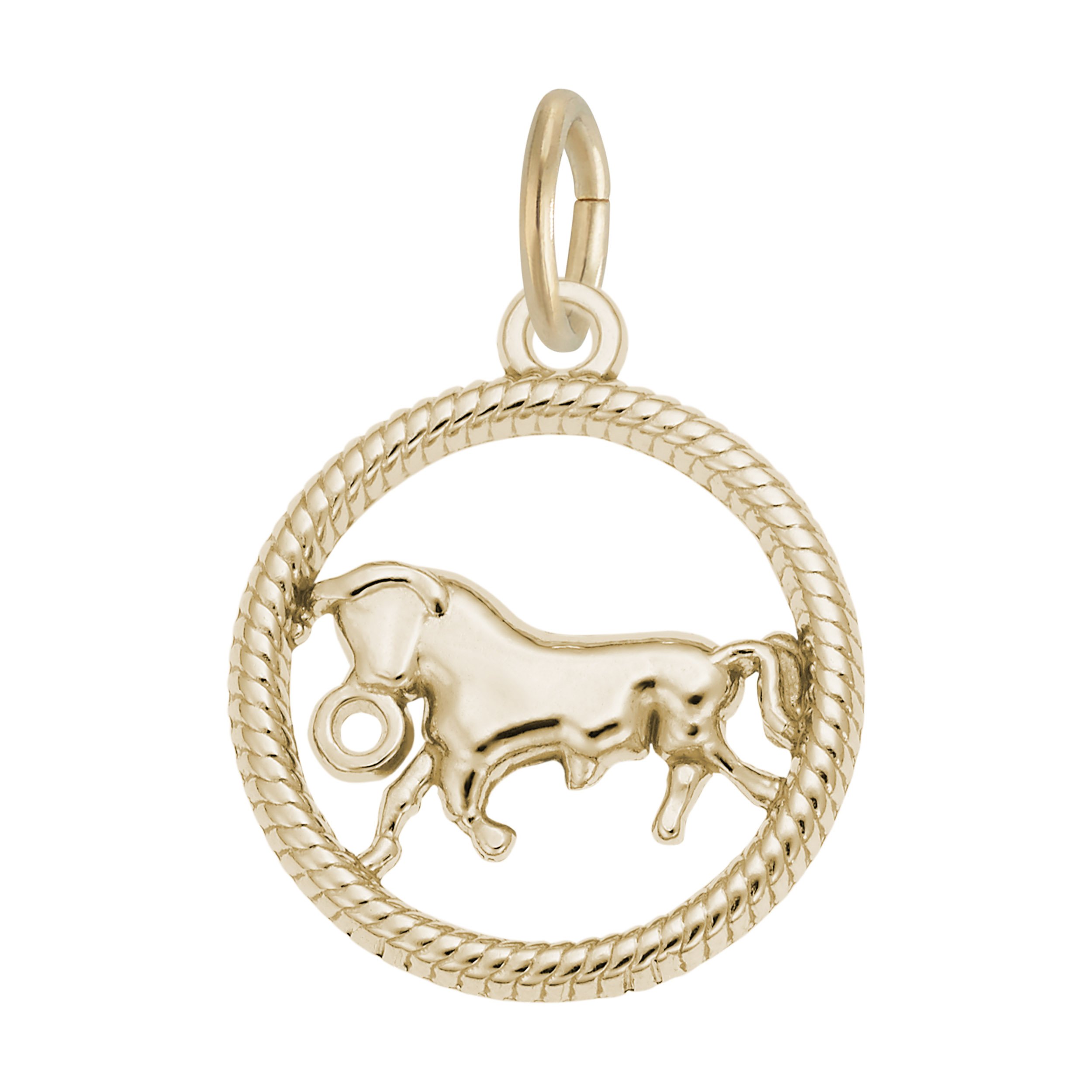 Taurus Bull Charm - Image 1