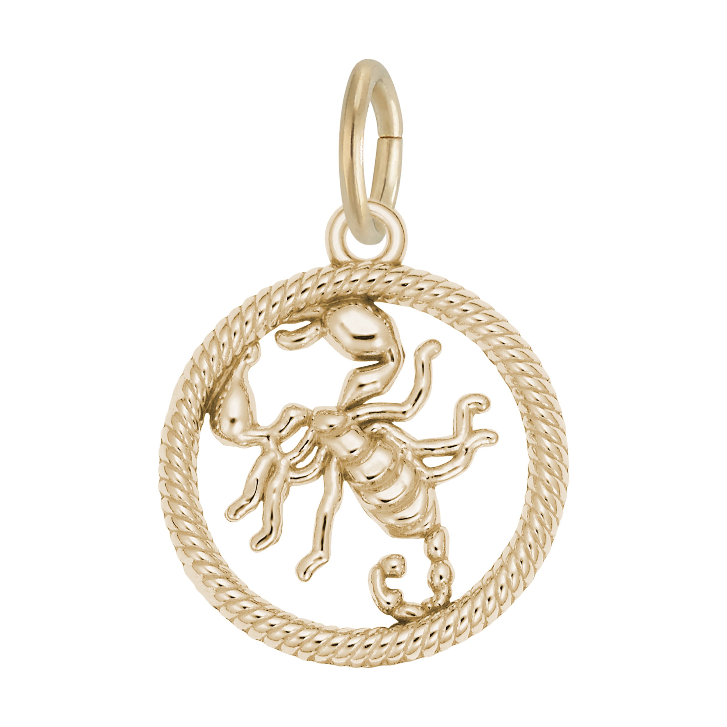 Scorpio Scorpion Charm - Image 1