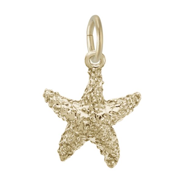 Sea Star Charm