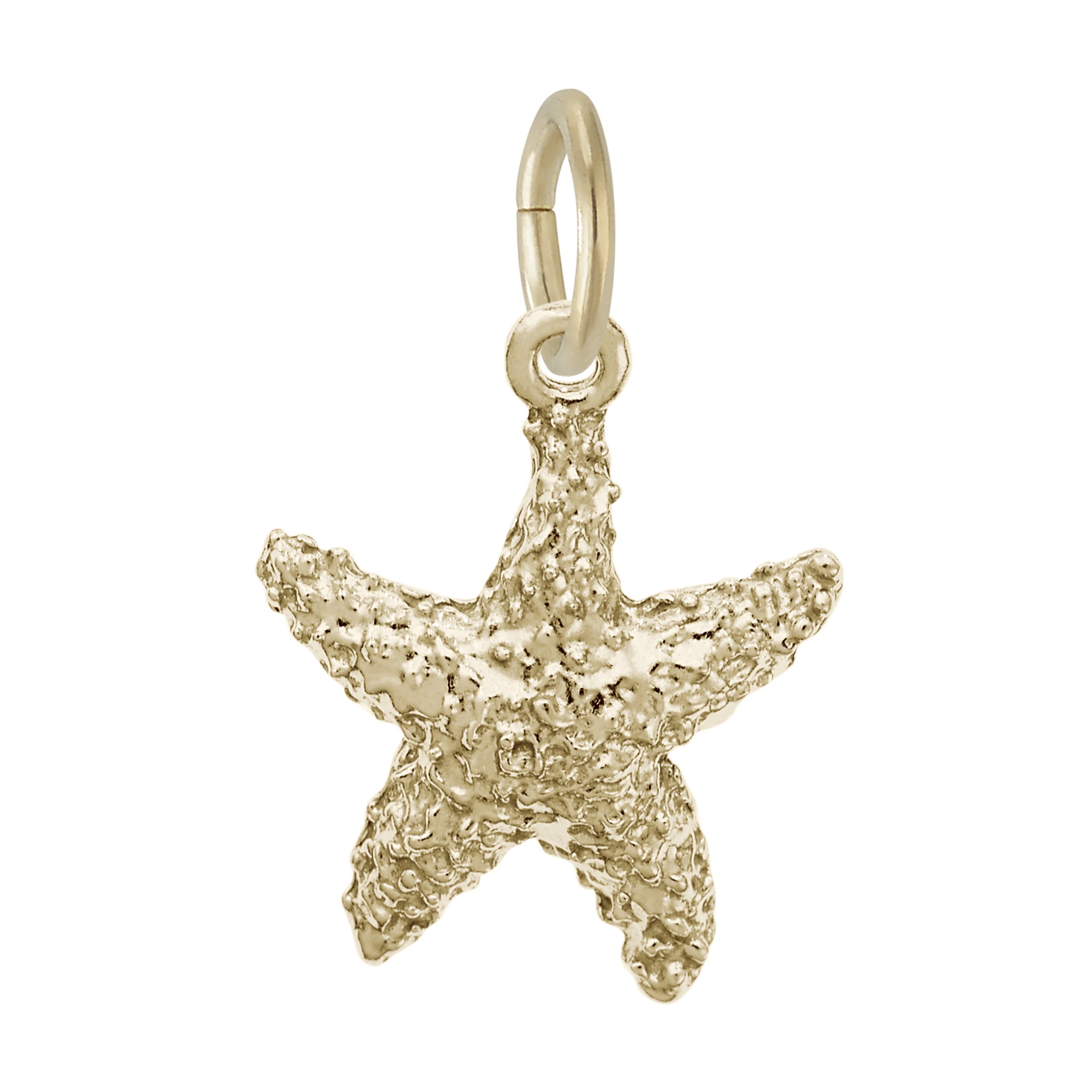 Sea Star Charm - Image 1