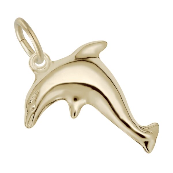 Standing Dolphin Charm