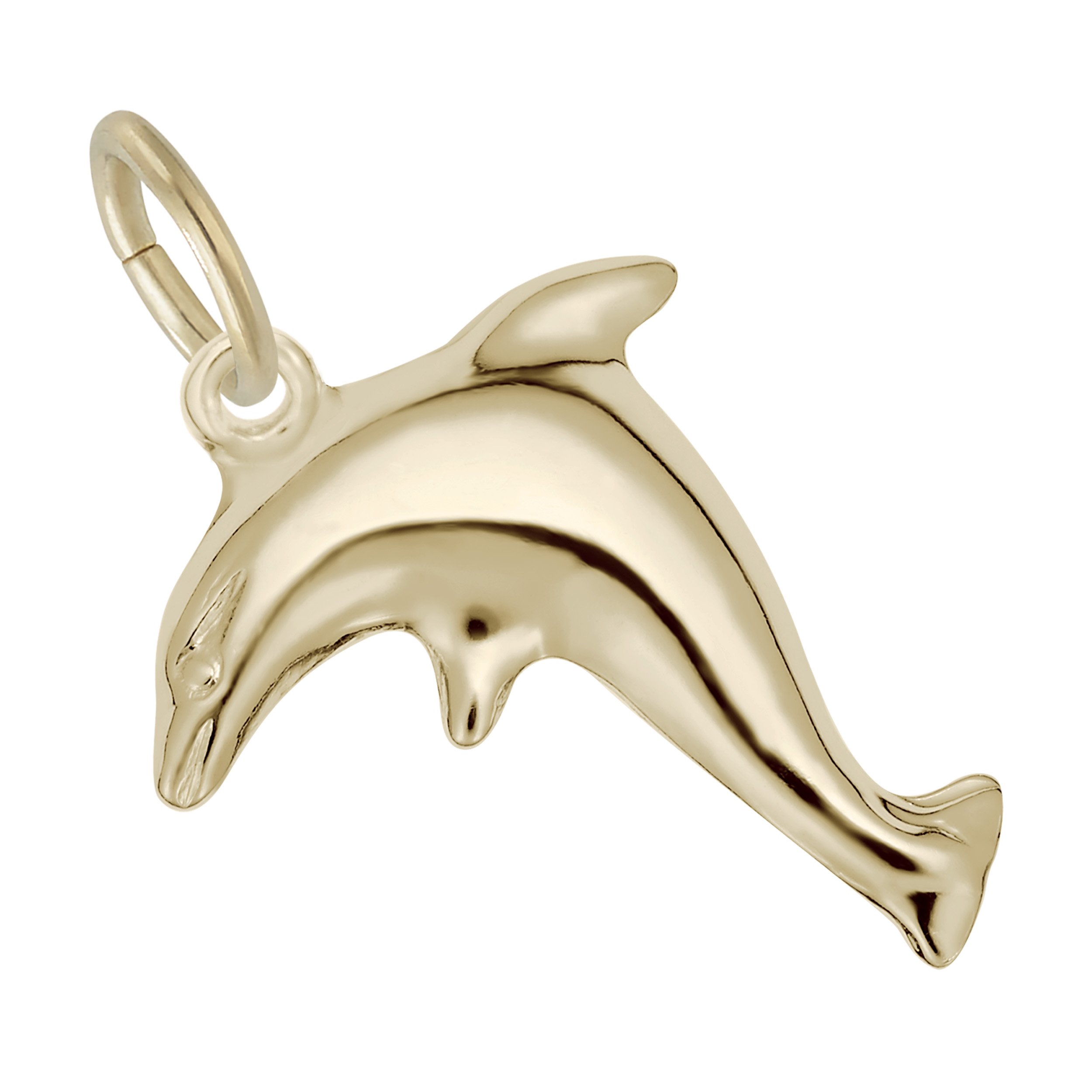 Standing Dolphin Charm - Image 1