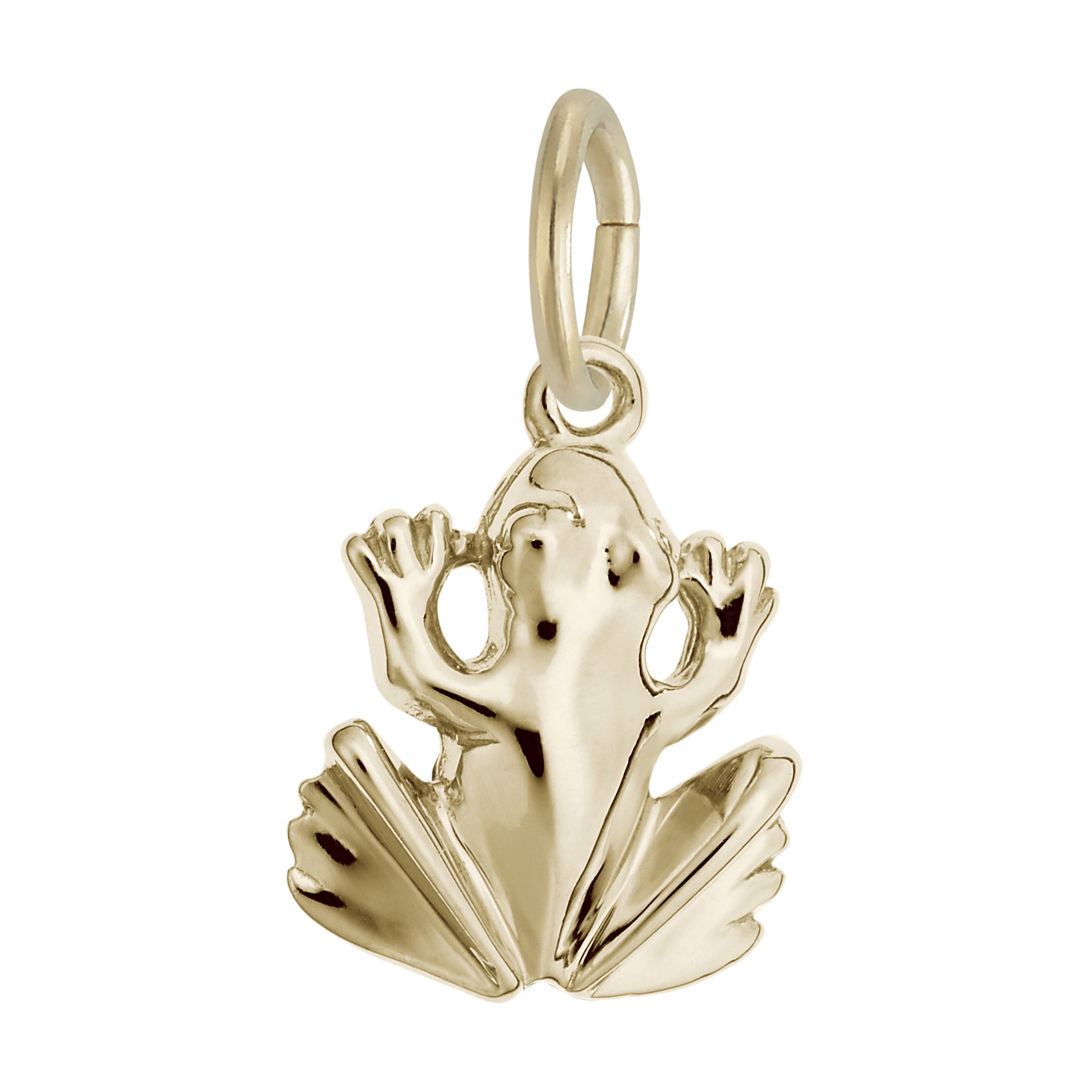 Frog Charm - Image 1