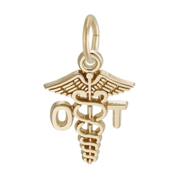 Occupational Therapist Caduceus Charm