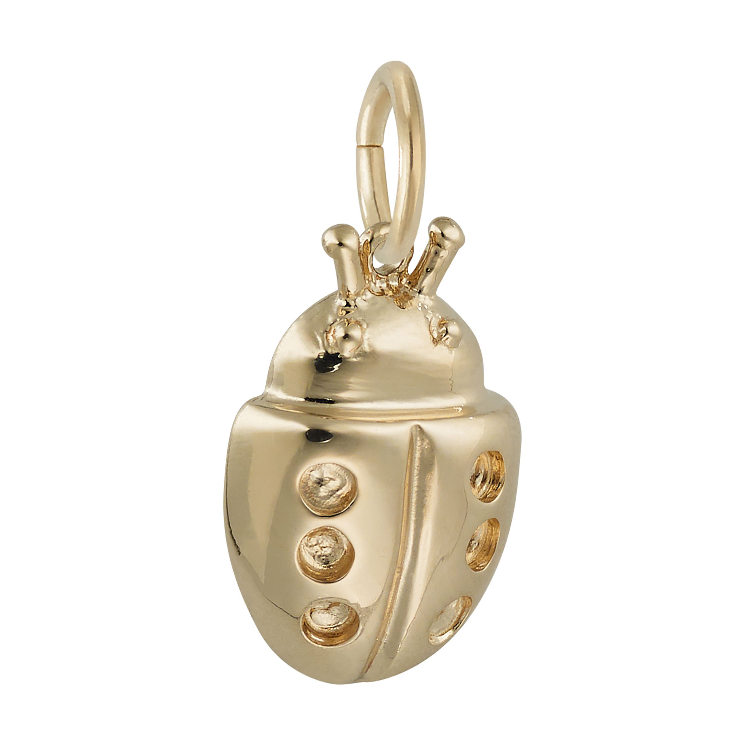 Lucky Ladybug Charm - Image 5