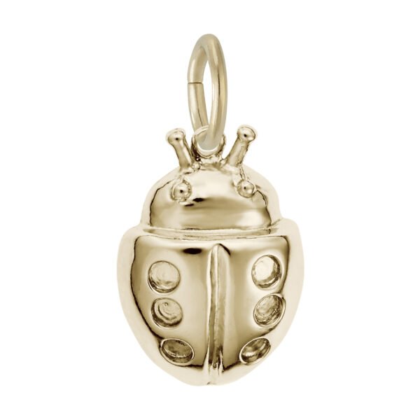 Lucky Ladybug Charm