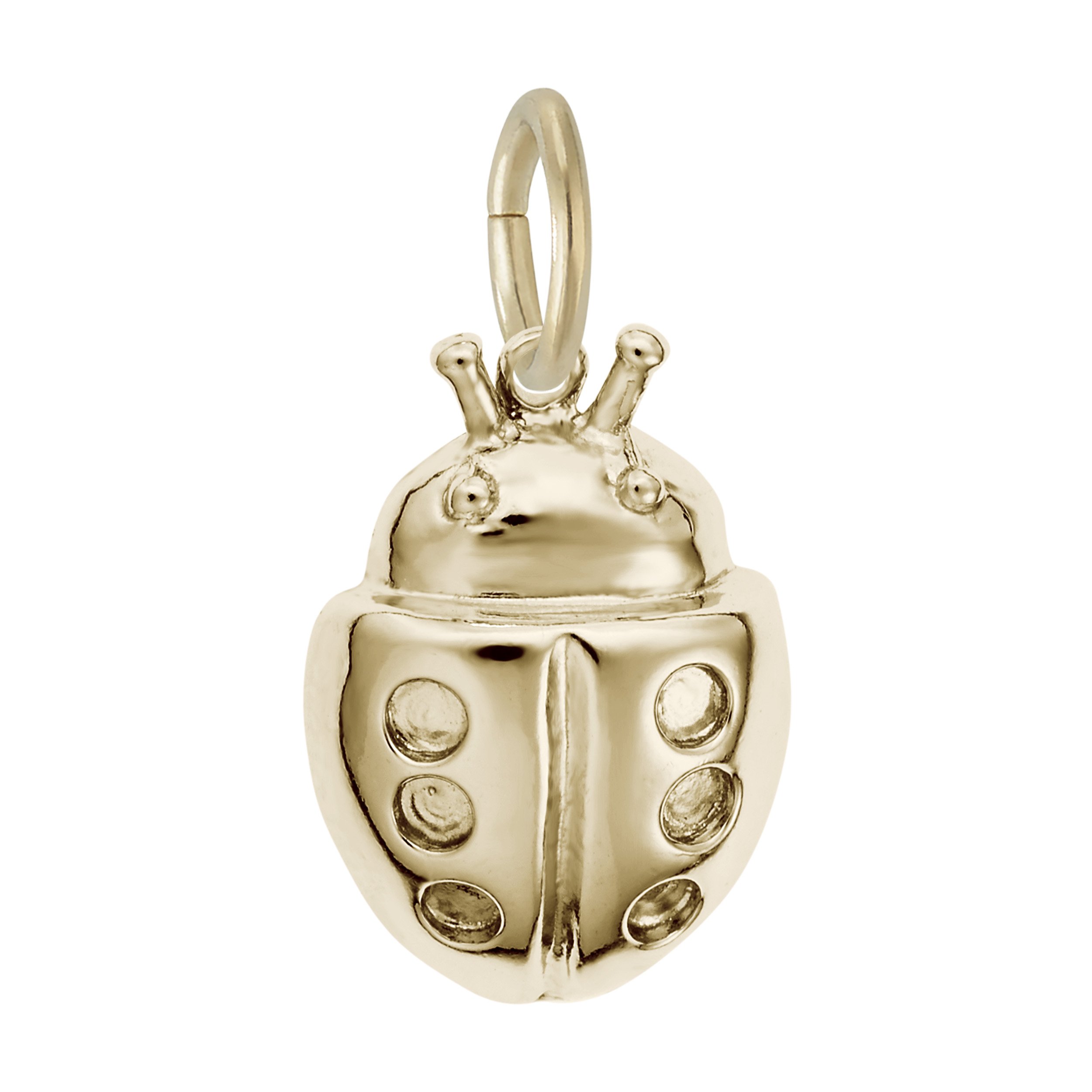 Lucky Ladybug Charm - Image 1