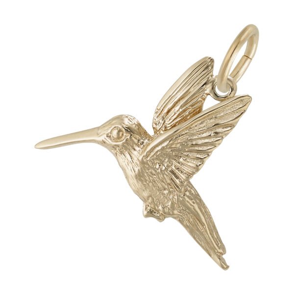 Hummingbird Charm