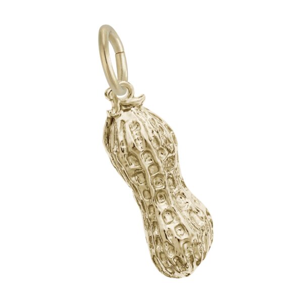 Peanut Charm