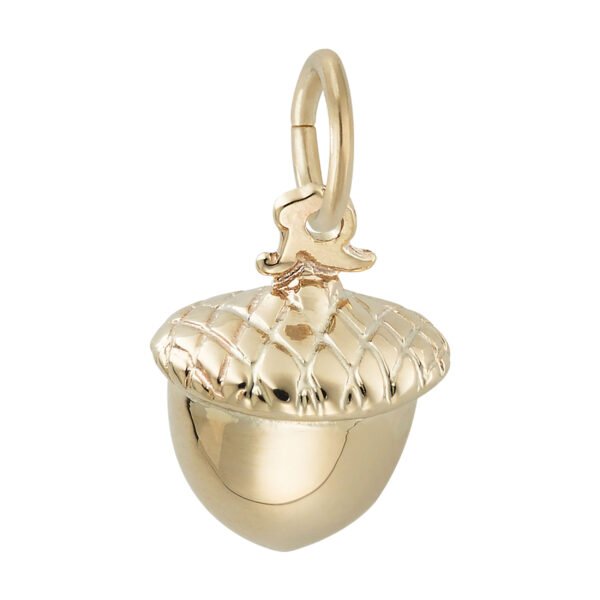 Acorn Charm