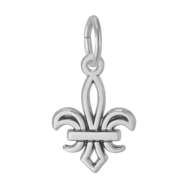 Petite Fleur de Lis Charm