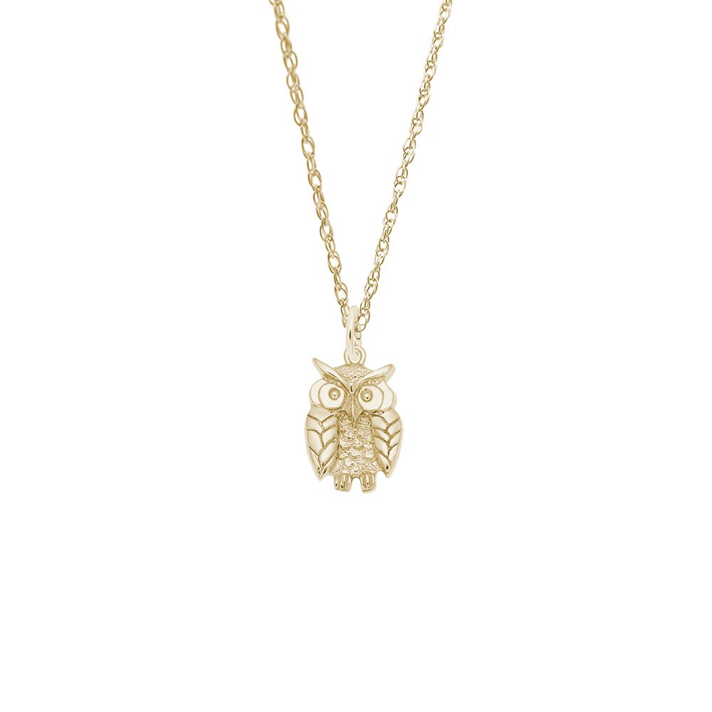 Wise Owl Necklace Set - Image 1