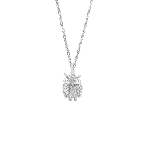 Wise Owl Necklace Set