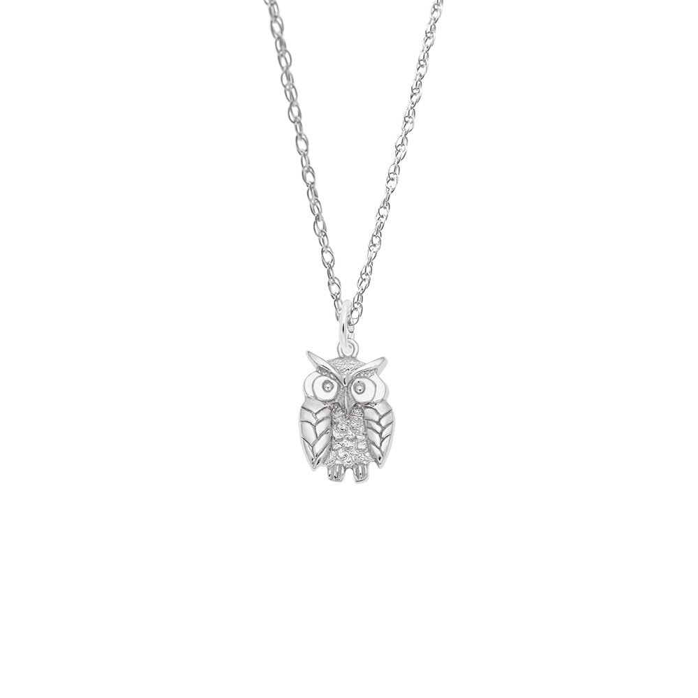 Wise Owl Necklace Set